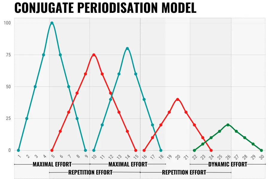 Cyclists can use the different forms of conjugate periodisation to focus on different elements of training. For example, you can use the maximal effort method to develop maximal strength and power, the dynamic effort method to develop speed and power, and the repetition effort method to develop muscular endurance and hypertrophy (at the right times of year!).