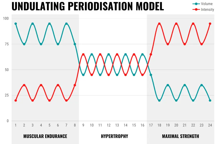 Whereas linear approaches plan a progressive change from high-volume, low-intensity to low-volume, high-intensity (or vice versa), undulating methods vary the training emphasis on a weekly (WUP) or daily (DUP) basis, although there are several models where the mesocycles are considerably longer.